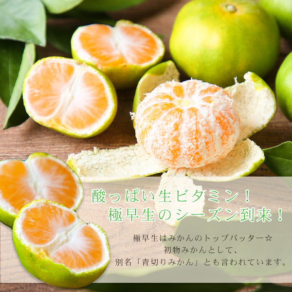 愛媛県産「極早生みかん 家庭用・サイズMIX」