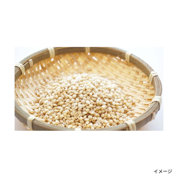 「北海道産オオイタドリ若芽使用 らくらく健康茶」