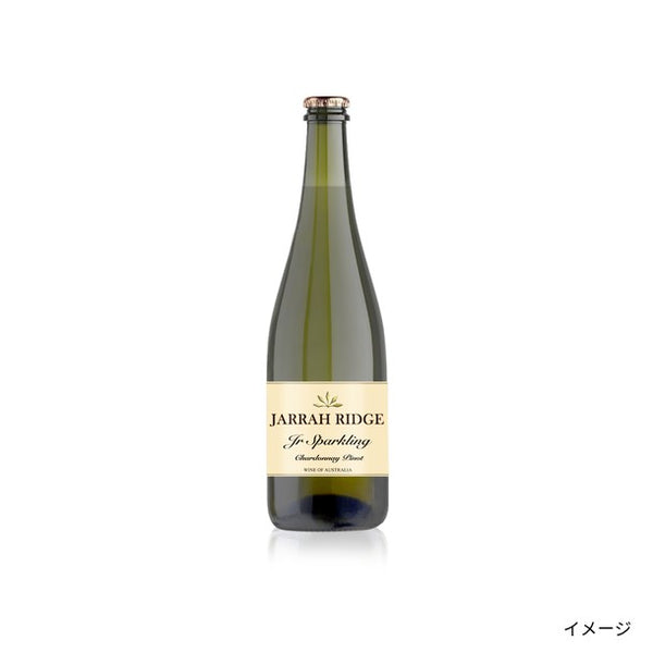 「ソムリエ推し味わいバラエティワイン 12本セット」