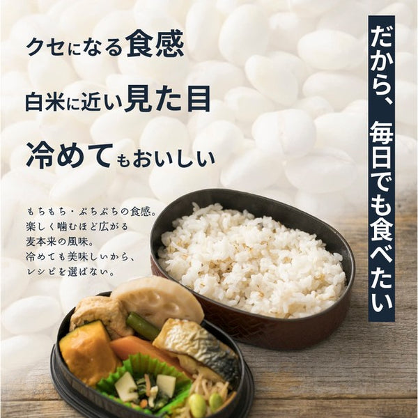 国産「雑穀米 麦5種ブレンド（丸麦/押麦/はだか麦/もち麦/はと麦）」