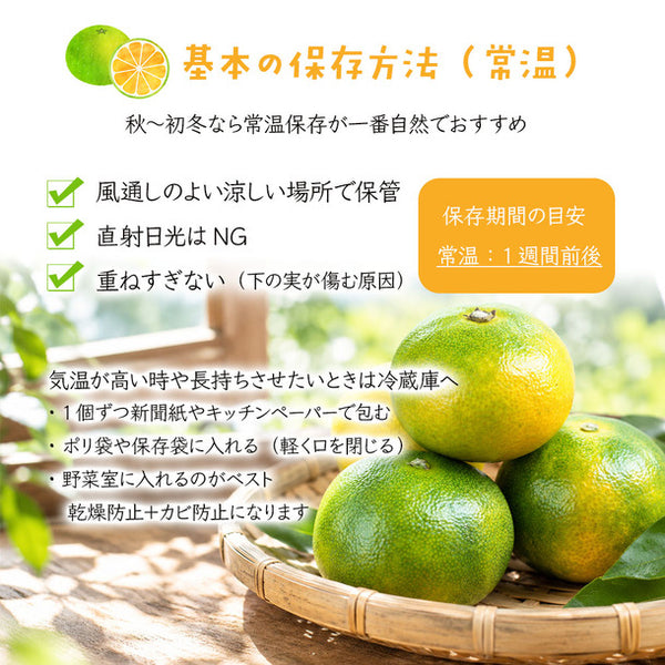 熊本県産「極早生みかん」