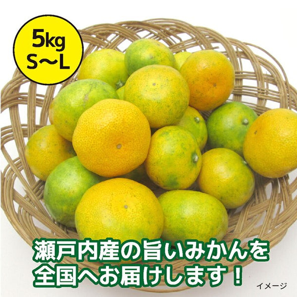 香川県産「極早生みかん S～Lサイズ」