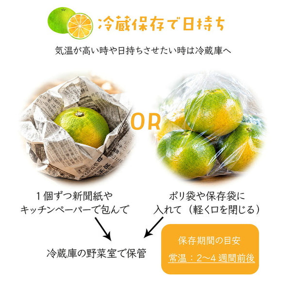 熊本県産「極早生みかん」