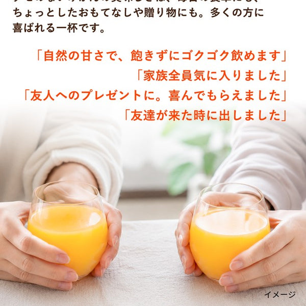 和歌山県産「有田みかんジュース」