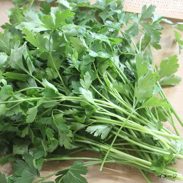 「生野菜サラダセット（サラダケール900g、訳アリビーツ1000g、イタリアンパセリ100g）」