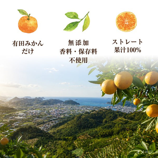 和歌山県産「有田みかんジュース」