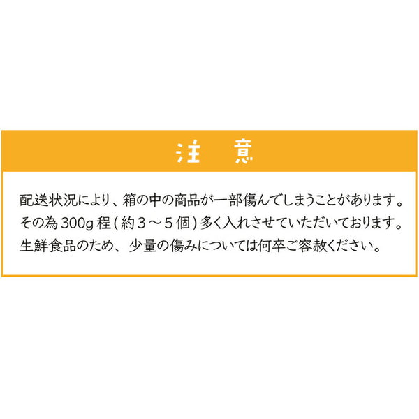 熊本県産「極早生みかん」