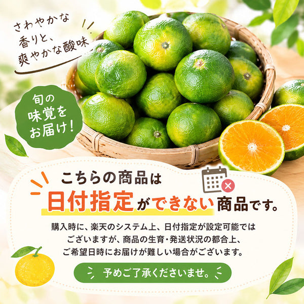 熊本県産「極早生みかん」