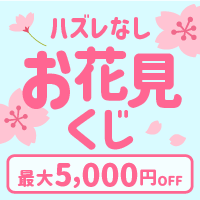 春のお花見くじ