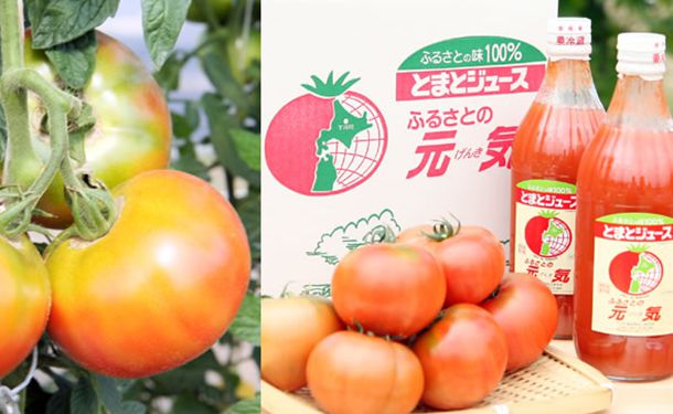 北海道産 トマトジュース「ふるさとの元気」500ml×30本