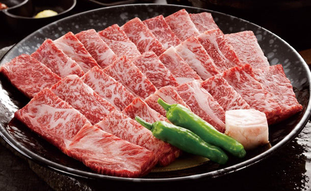 大淀河畔みやちく「宮崎牛 焼肉（肩ロース）」500g（RE-283）の通販