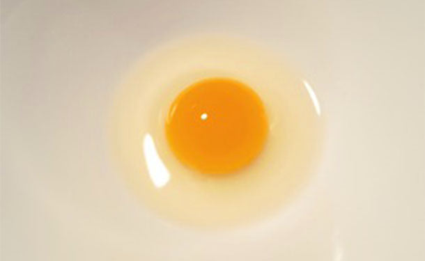静岡県産「命のカプセル うずらの卵」10個×24パック