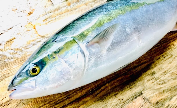 愛媛県産「ブリの刺身・骨抜き切身魚セット」のお得通販｜Kuradashi