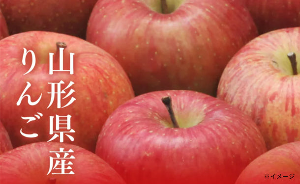 山形県産「訳ありりんご」約10kg（30～56玉）