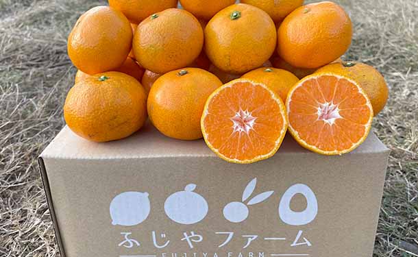 大崎上島産「温州みかん」5kgのお得通販｜Kuradashi(クラダシ)で