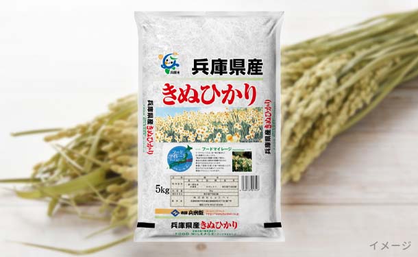 令和５年度兵庫県産 キヌヒカリ 玄米30kg※精米可 本州・四国・九州は送料無料お届けは佐川急便になります