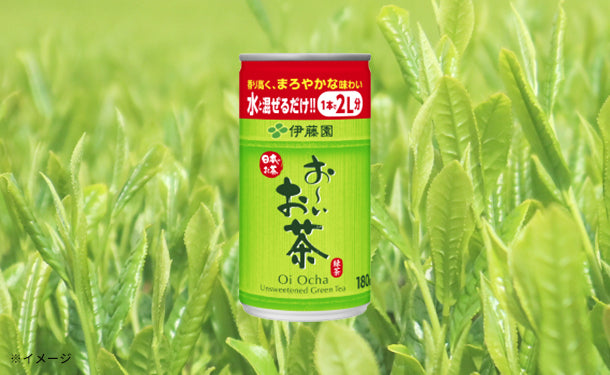 伊藤園「希釈缶お〜いお茶緑茶」180g×60本