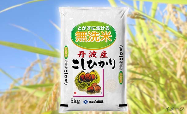 新米「兵庫県丹波産 コシヒカリ 無洗米」5kg×1袋