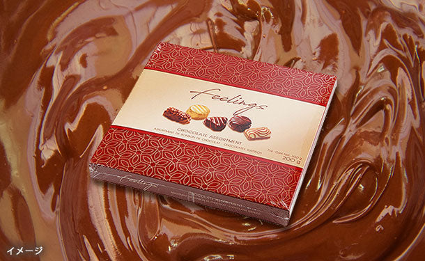 フィーリングス「チョコレートアソート」200g×12箱