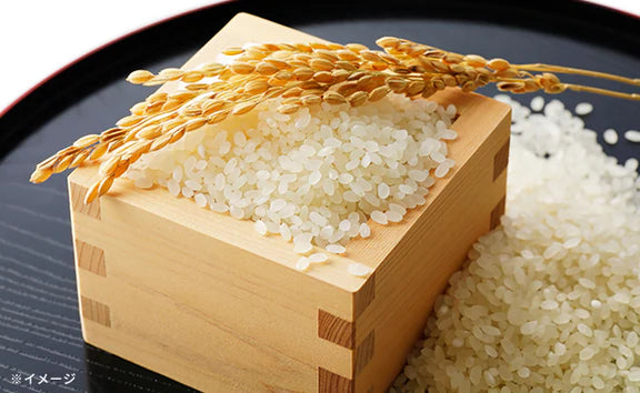 令和3年産「北海道産 ななつぼし（無洗米）」5kg×2袋