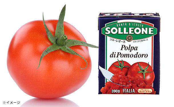 ソル・レオーネ「ダイストマト」390g×16個