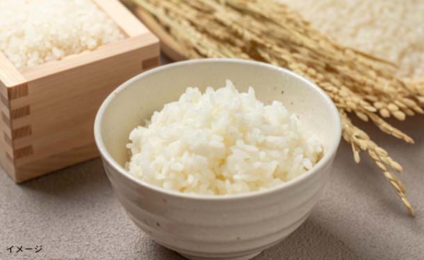 「北海道産 ゆめぴりか 無洗米」5kg×4袋
