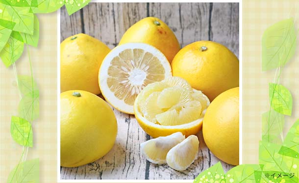 文旦　20kg 03 文旦 土佐文旦 家庭用 10kg L～4Lサイズ 混合 16～24玉 西部園芸 宿毛