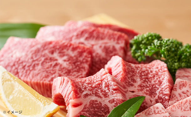 「宮崎和牛 生産者おすすめの食べ比べ焼肉セット」300g×1パック