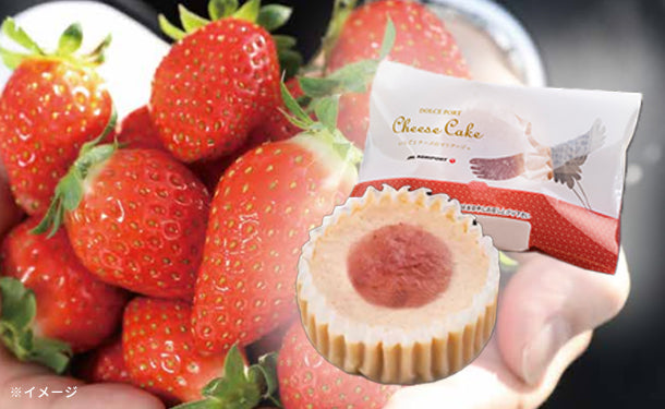 JAL AGRIPORT「DOLCE PORT CHEESE CAKE」4個入×10箱