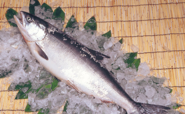 北海道産「時鮭（ときしらず）切身」80g